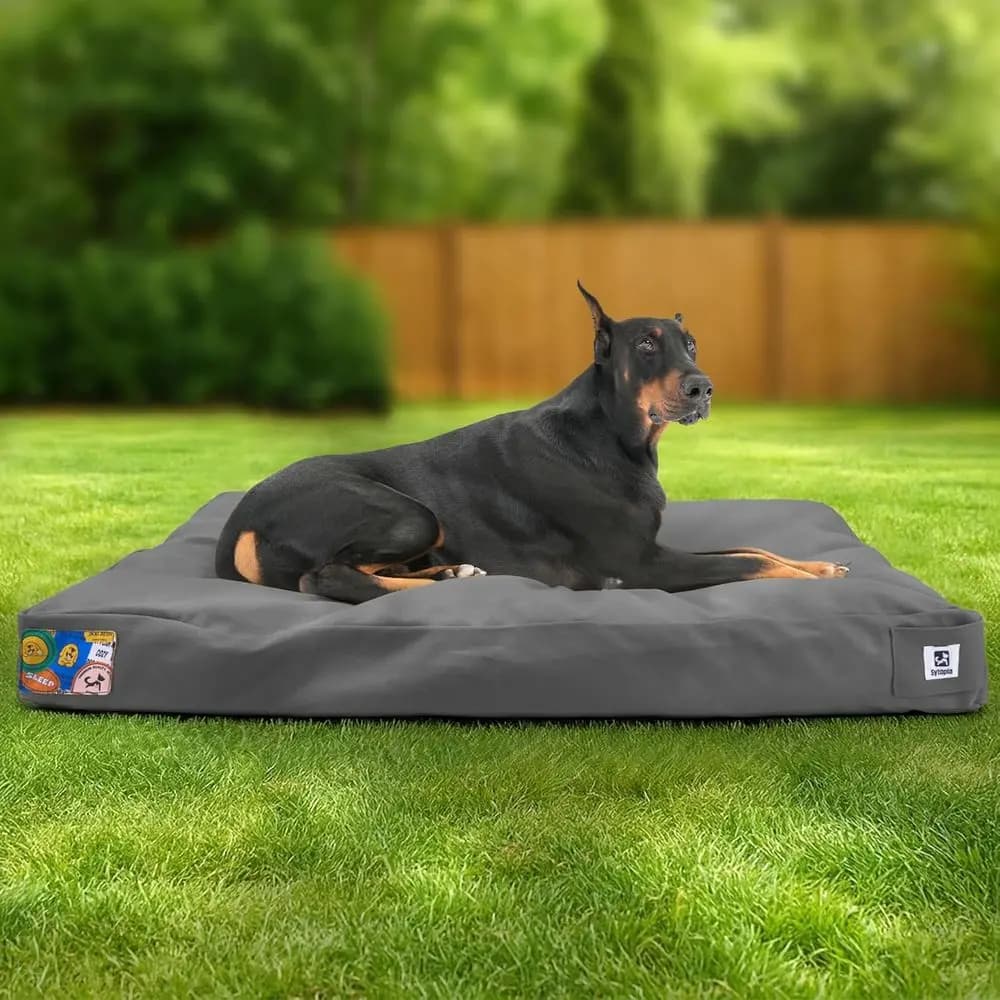 Cuccia per Cani di Taglia Grande in Tela Resistente 42, con Rivestimento Lavabile, Adatta per Uso Interno ed Esterno