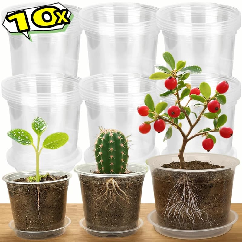 10 transparent pots for plants, plastic flower pots with drainage holes, garden pots for seedlings, for germination of seeds from inside and outside