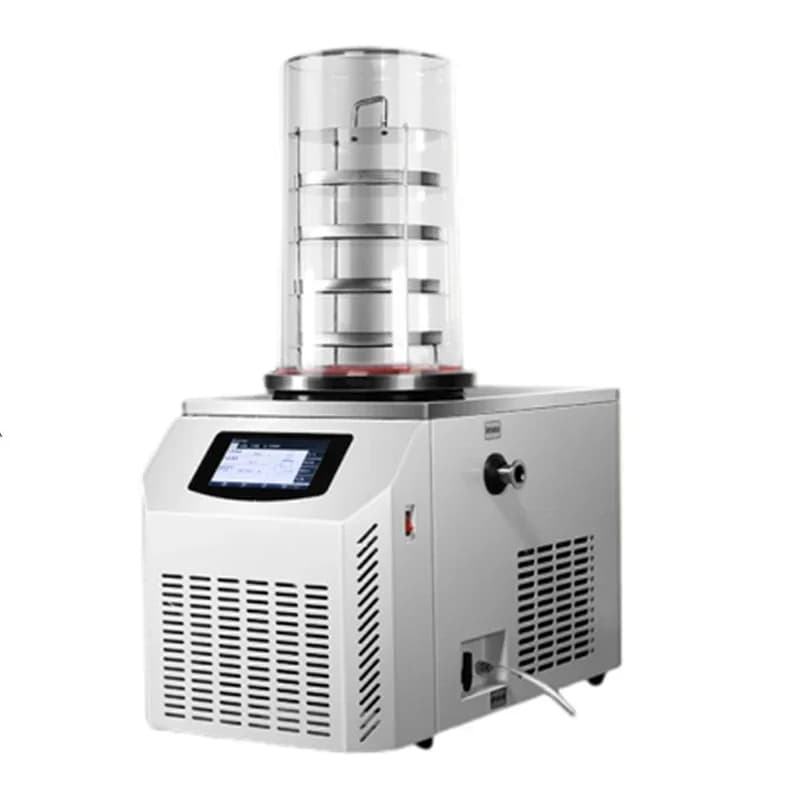 Nuovo cibo liofilizzato elettrico Frutta e verdura Cordyceps Piccolo liofilizzatore sottovuoto Laboratorio per animali domestici