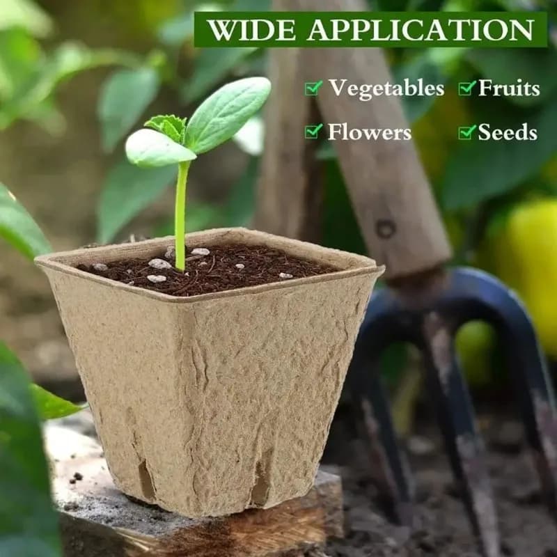 Biodegradable Vases for Vivary, Containers in Polpa for Semina and Propagation Flowers with Draining Forms, Tools for Home Gardening