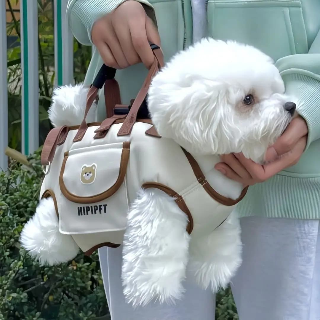 Zaino porta animali traspirante portatile da esterno con guinzaglio - Palmare e tracolla, imbracatura da viaggio leggera per Easy Tri