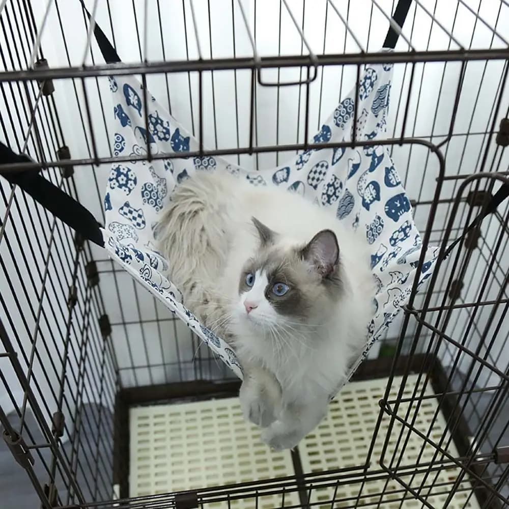 Amaca per gatti in tela primaverile ed estiva Plus amaca per gatti appesa in Pile lunghezza regolabile Pet Cat Hanging Nest Swing Cat Nest