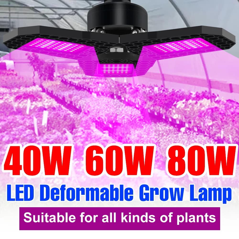 Lampadina LED E27 80W a Spettro Completo per Coltivazione Indoor, Illuminazione per Piante, Serre, Semenzai, Frutta, Verdura e Fiori
