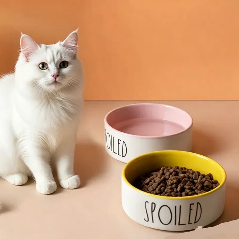 Non-Bacterial Porcelain Pet Feeding Bowl Spoiled Letter Decor Two-Tone Interior Cat Bowl Reduce Feline Acne Kitty Daily Food Wat
