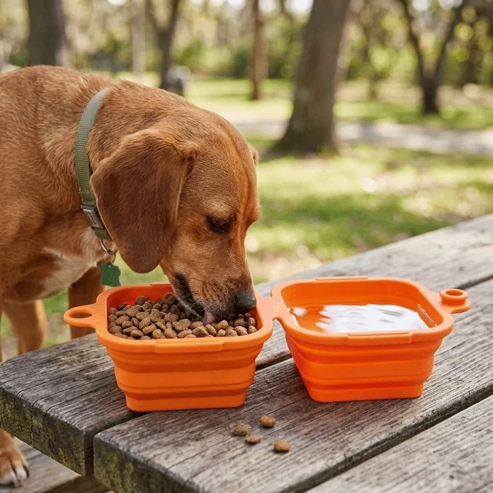 Portable Dog Feeding Double Bowl Hanging Multipurpose Foldable Dog Dish Square Food Grade Silicone Pet Food Water Feeding Tray