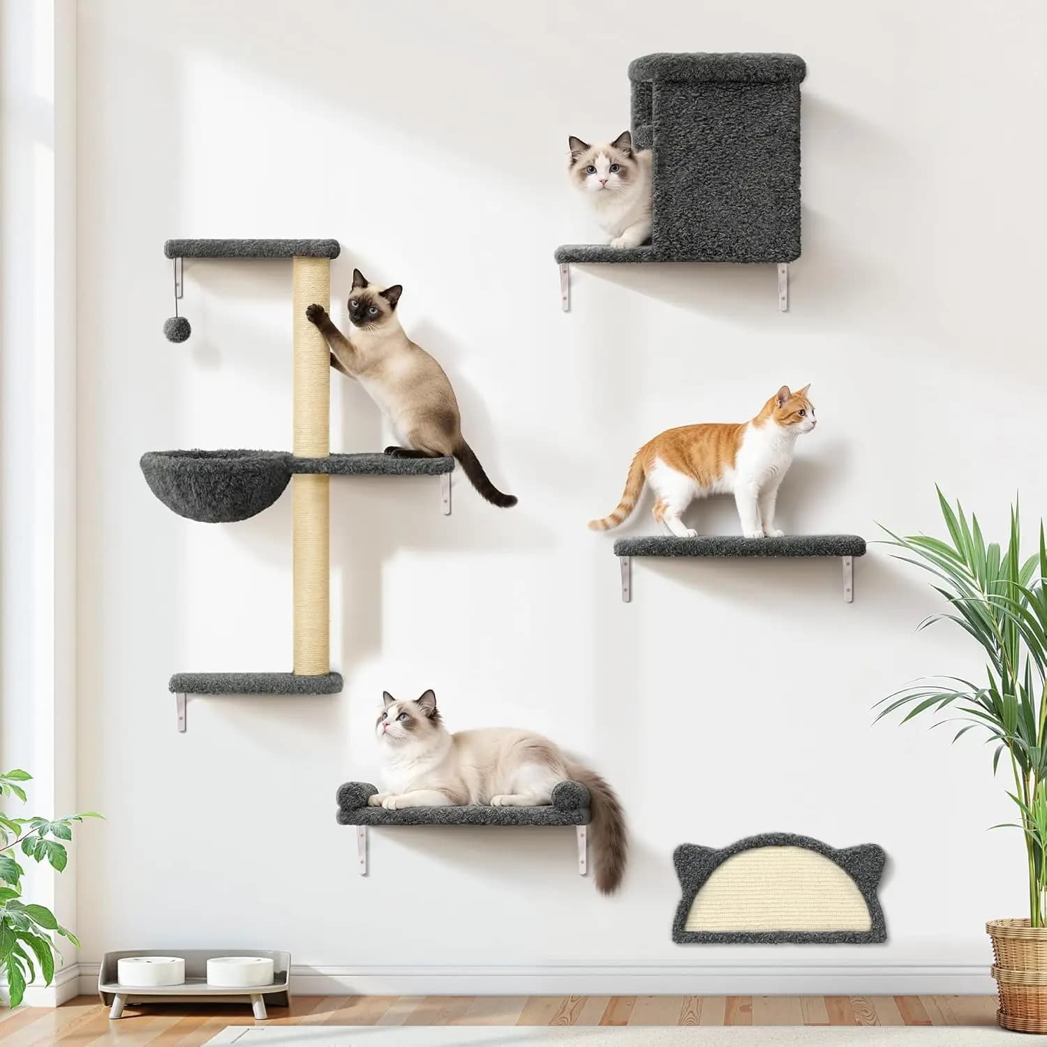 Mensole da Parete per Gatti in Legno Massello, Velluto e Sisal, Montaggio a Muro per Interni, Carico Massimo 20 kg, Grigio Scuro