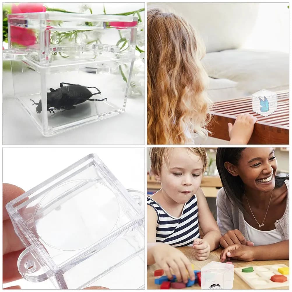 Set di 6 Scatole per l'Osservazione degli Insetti, Contenitori Portatili con Lente d'Ingrandimento per l'Esplorazione e l'Apprendimento Scientifico dei Bambini all'Aperto