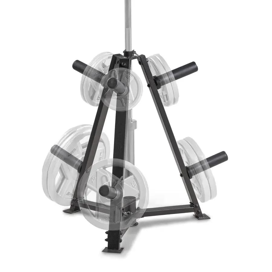 Support for Olimpic Weights for 2 Inch Discs, Pesi Preservation Rastrelliera
