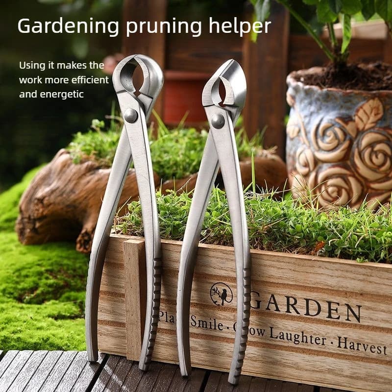 Stainless steel bonsai pruning scissors with inclined blade, ideal for bonsai modeling and the trim of the branches, cheap.