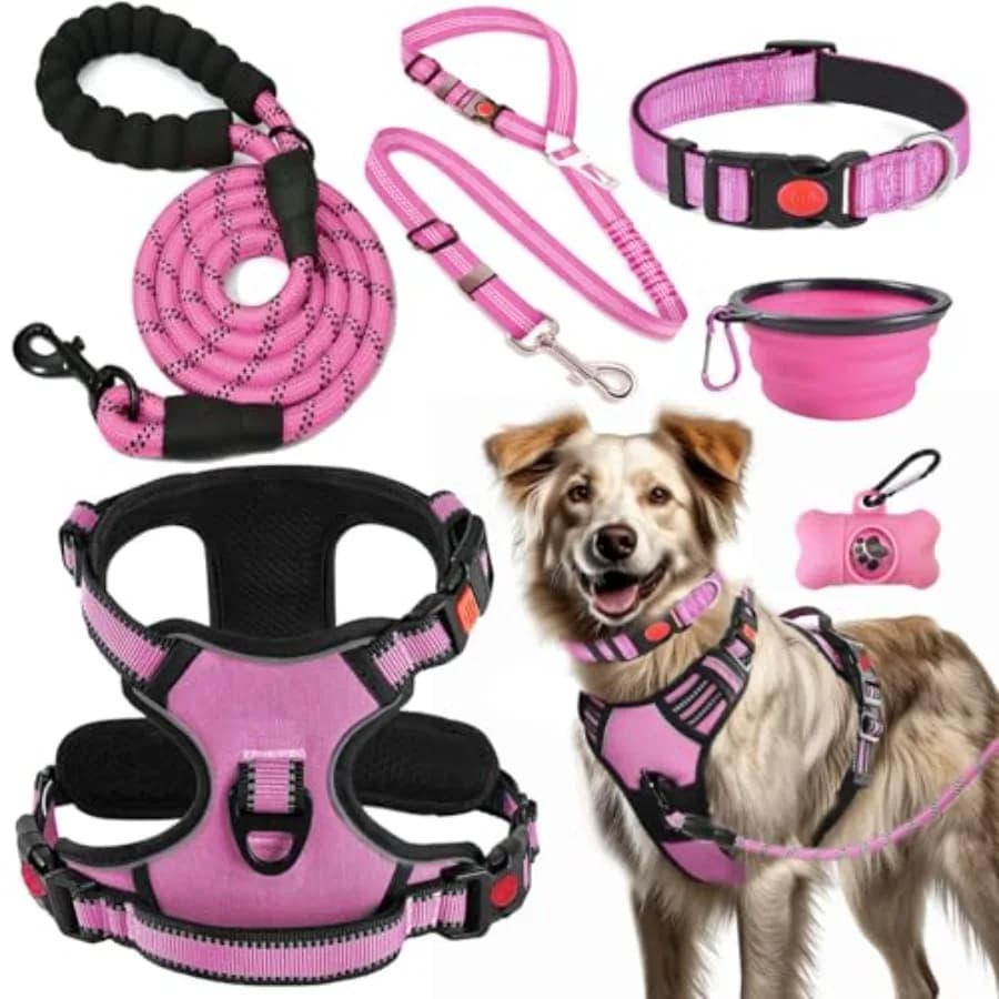 Set Pettorina Anti-Trazione, Collare e Guinzaglio per Cani, Include Cintura di Sicurezza per Auto, Ciotole Pieghevoli e Dispenser Sacchetti per Escrementi