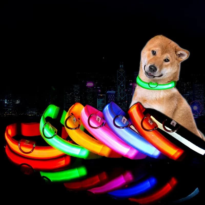 Collare per cani per gatti che brilla nella notte che cammina per cani Accessori anti-smarrimento Collare per cani incandescente a LED Imbracature per cella a bottone