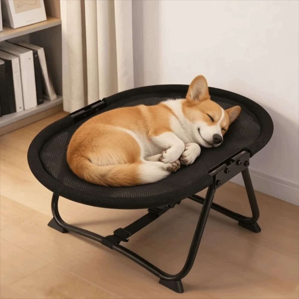 Cuccia Rialzata Universale Pieghevole per Cani, Letto Ovale Robusto per Gatti, Amaca Traspirante in Rete per Gatti, Tappetino per Dormire per Gatti per Tutte le Stagioni
