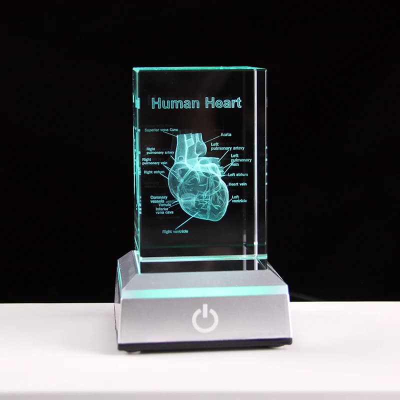 Heart Shaped Organ Model Laser Engraved 3D Crystal Cube Human Anatomical Apparatus Figurine Anatomy Card Holder Medical Science Gifts