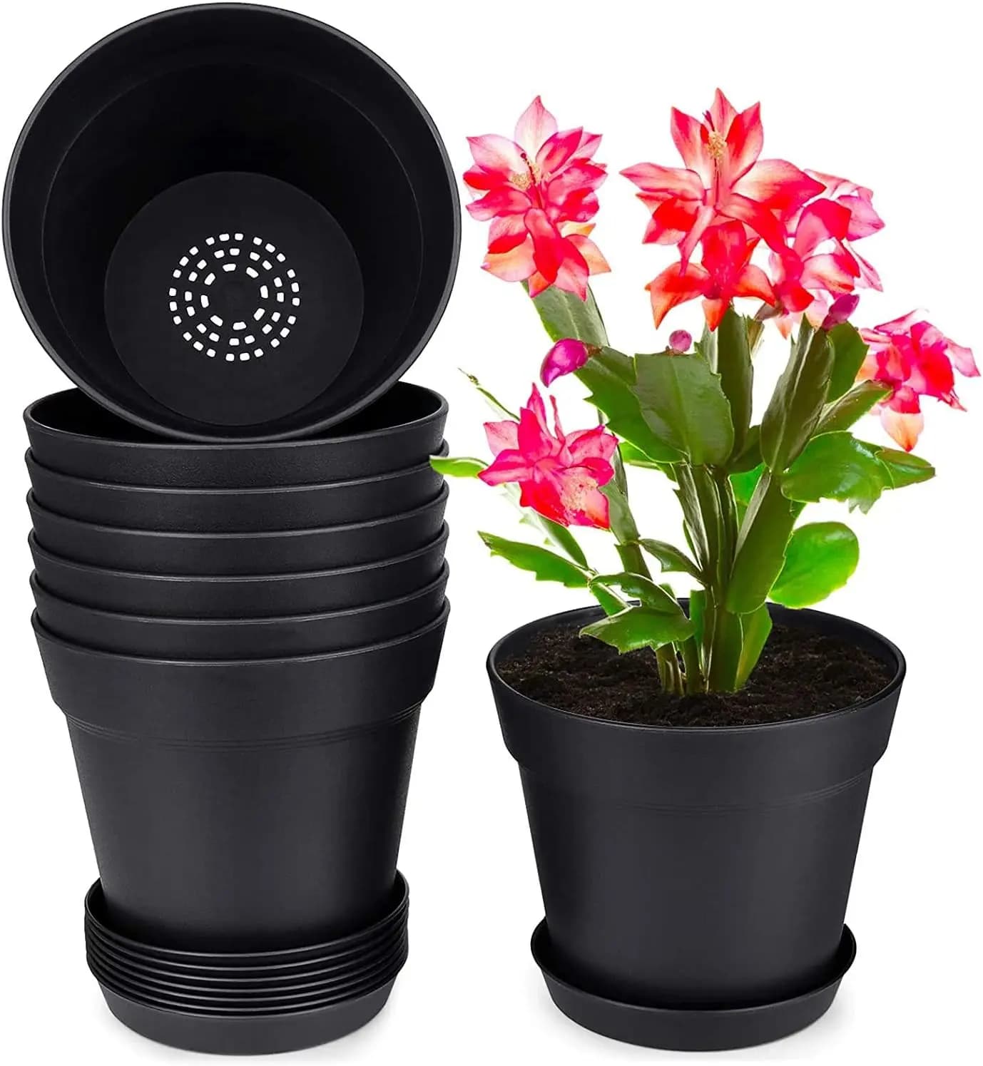 Set di 8 Vasi in Plastica da 7,5 Pollici con Fori di Drenaggio e Sottovasi, Nero Opaco per Fiori e Piante Grasse da Interno