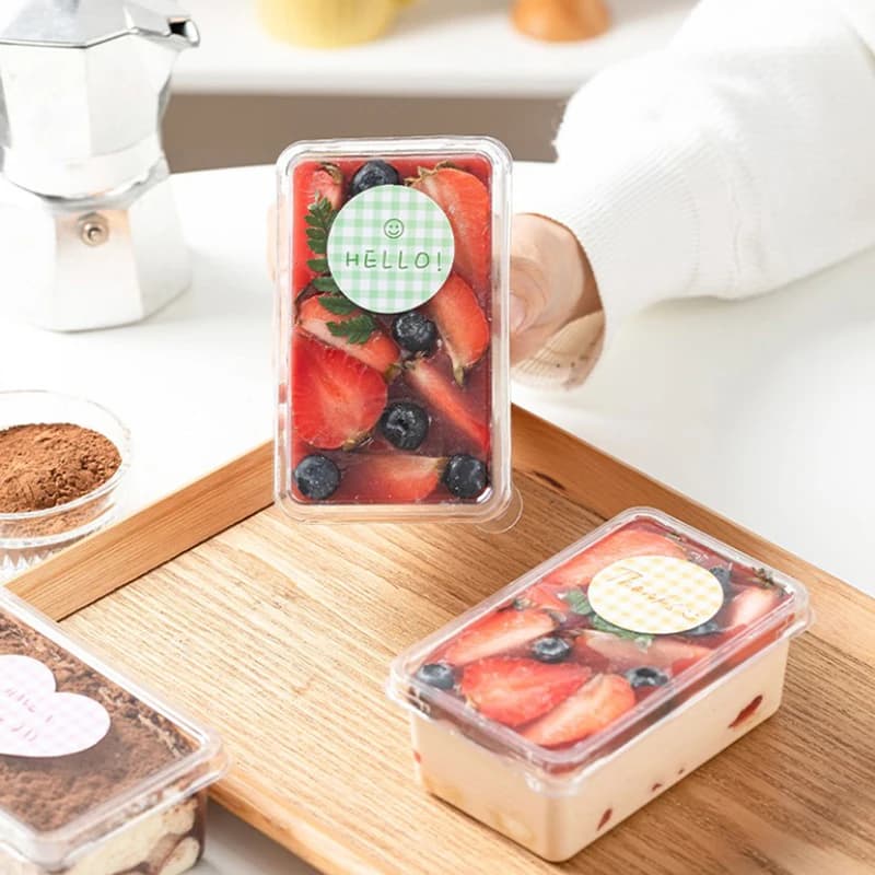 Contenitori da asporto con cerniera in plastica trasparente da 10 pezzi, scatole per imballaggio alimentare, adatti per dessert, torte, biscotti, insalata, cibo