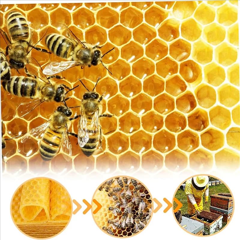 A7THK-Bee wax leaves 60 pieces Bee wax foundation sheets Bee wax background Bee frame wax background Natural honeycomb leaves Bee wax leaves