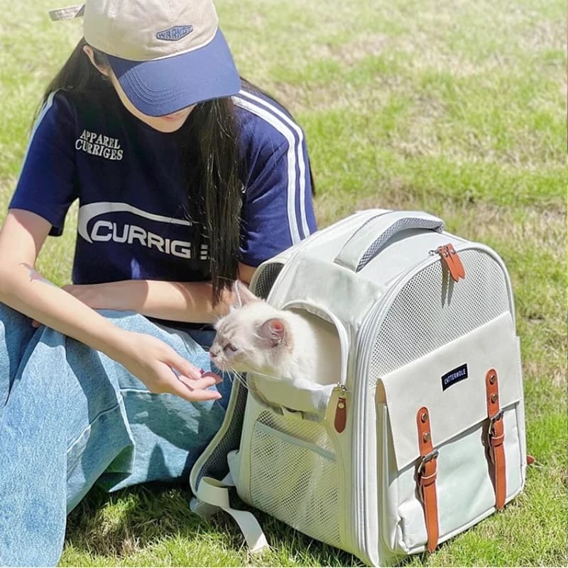 Zaino porta animali in rete traspirante, borsa da viaggio per cani e gatti con tasche portaoggetti, design leggero e pieghevole per escursioni all'aperto