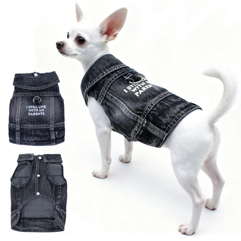 Nuova Giacca in Jeans per Cani con Stampa a Lettere, per Cani di Piccola e Media Taglia, Abbigliamento per Animali Domestici Primavera Autunno, Cappotto in Denim Nero alla Moda, Costume in Denim Resistente