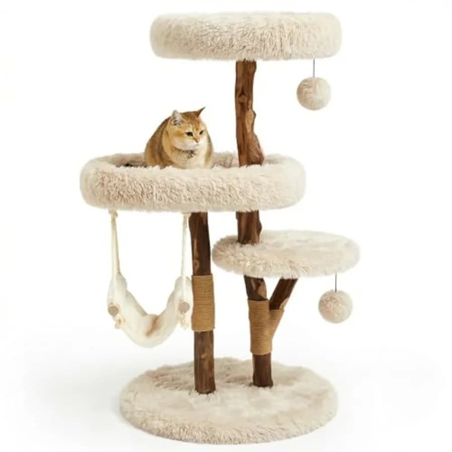 Albero per Gatti Moderno per Gatti di Taglia Grande da Interno con Tiragraffi in Legno Naturale Massiccio, Posti di Riposo, Amaca e Palline Giocattolo - Estetico