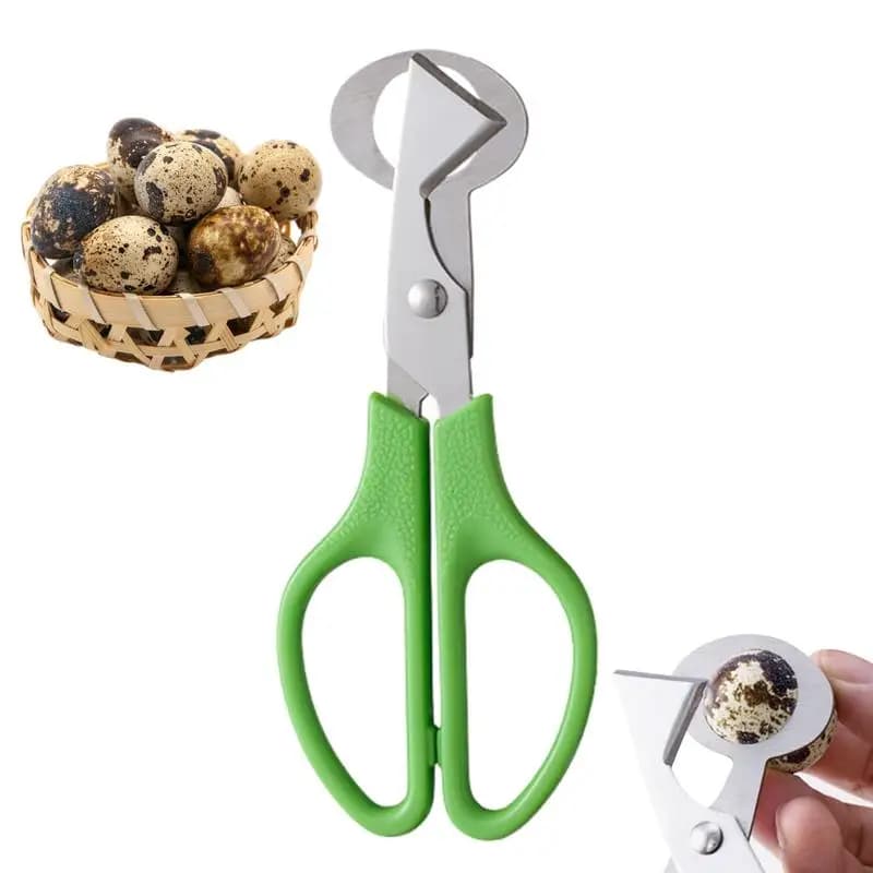 Piccione Quaglia Cespuglio aperto Piccolo guscio di uovo Forbice Taglio Uccello Guscio d'uovo Separatore Taglierina per sigari Apri Strumento Clipper Utensili da cucina