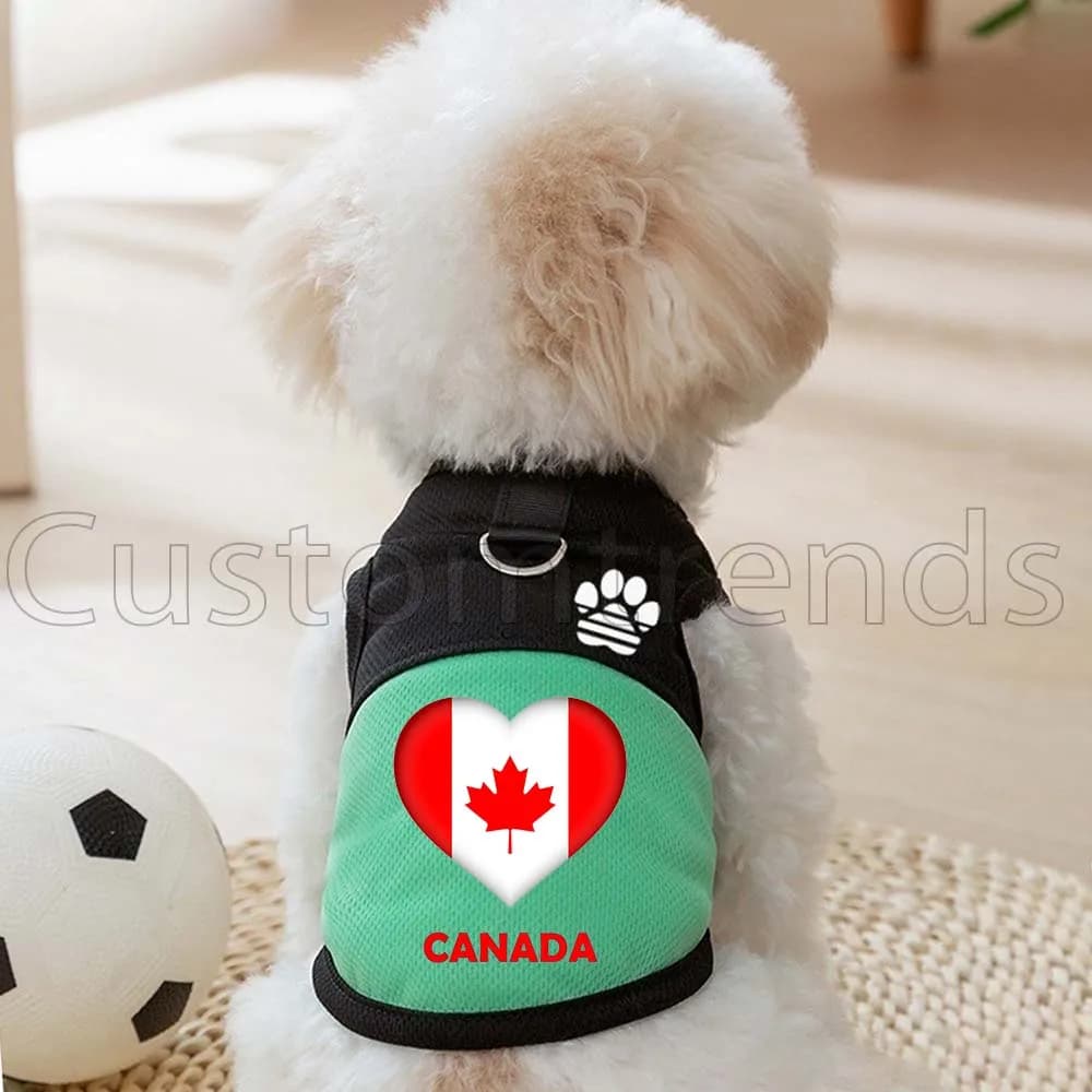 Pettorina a rete per cani e gatti con bandiera a cuore del Canada, Abbigliamento per animali domestici, Gilet traspirante primavera estate con anello a D per guinzaglio e zampa carina
