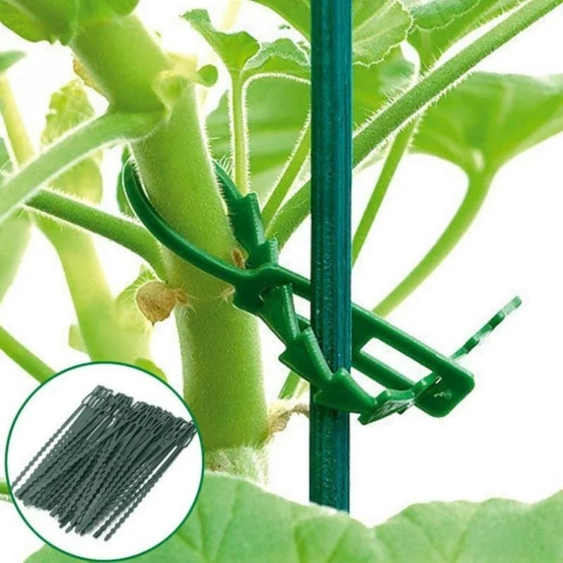Nuove 50 fascette regolabili in plastica per piante, riutilizzabili, per supporto alberi da giardino, rampicanti, tomate e steli