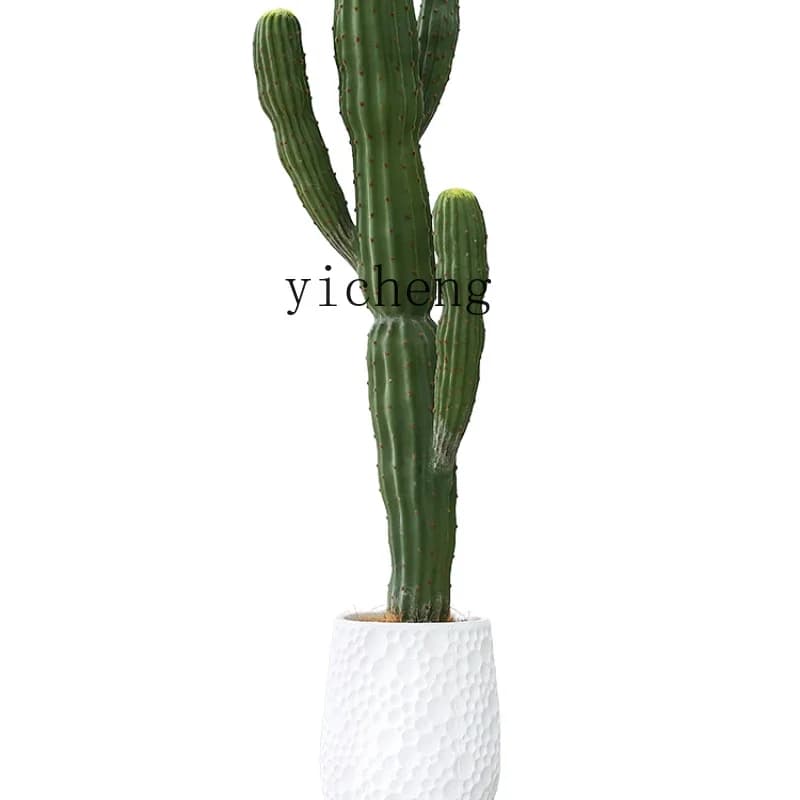 Zf Pianta Cactus Marocchino Cactus in Vaso Colonna Bonsai Decorazione del Pavimento Ornamenti