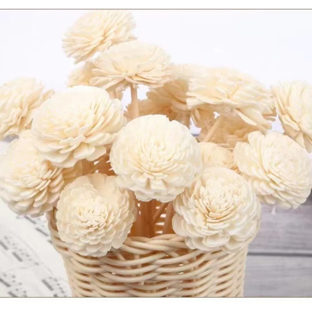 Natural Sola Wood Flower Handmade Dried Floral Ornament Unscented Diffuser Accessory Home Office Interior Decoration Aesthetic