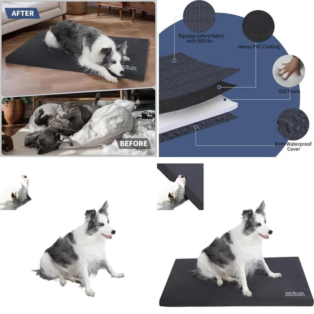 Letto per cani da esterno impermeabile extra resistente, resistente alla masticazione e stabile, ideale per gatti da interni, carbone X-Large (42x28x2 pollici)