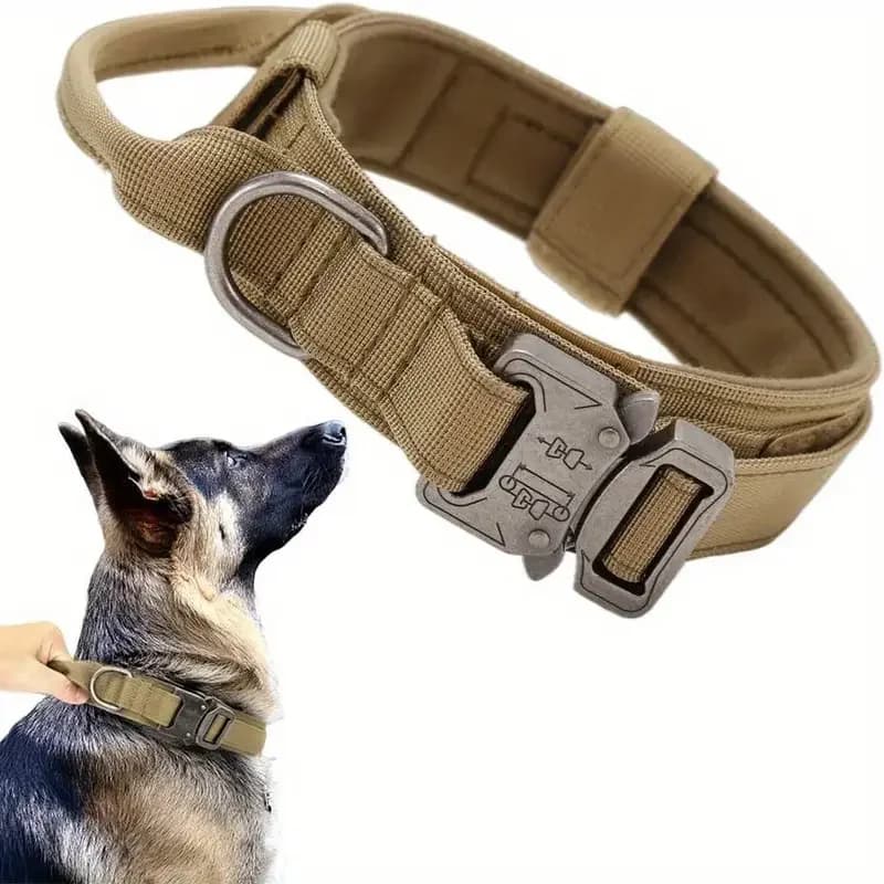 Collare per cani tattico Collare per cani militare regolabile in nylon con maniglia di controllo e fibbia in metallo resistente per cani di taglia media e grande
