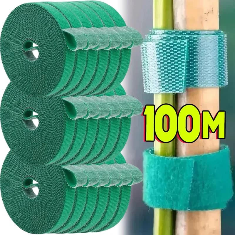 1/100M Pianta autoadesiva regolabile Fascetta per cavi in nylon Pianta Gancio Anello Supporto Spago da giardino Fasciatura Riutilizzabile Nastro di fissaggio Strisce