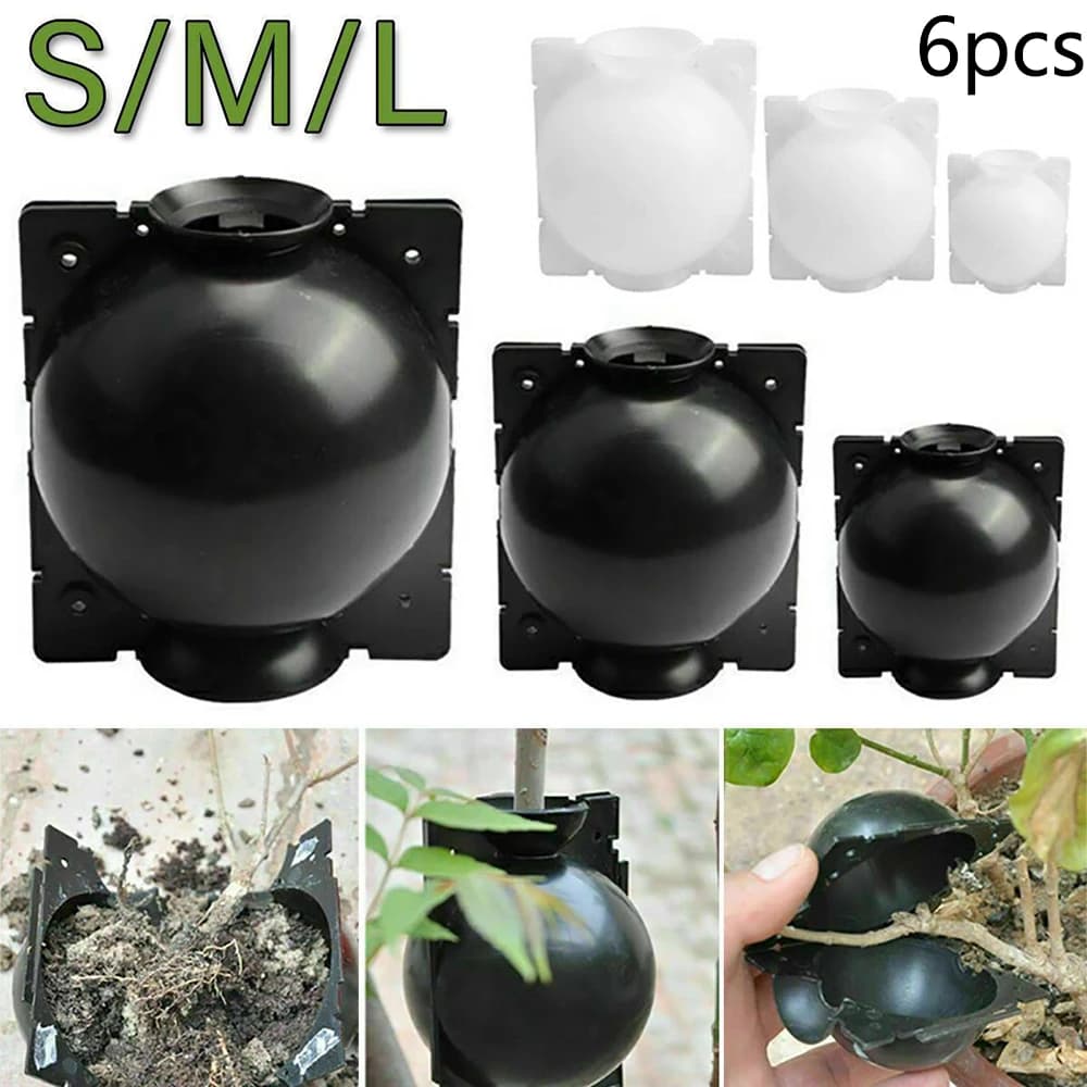 6 pz 5/8/12 cm Pianta Radicamento Palla Riutilizzabile Vivaio Palla Botanica Scatola di Coltivazione Propagazione di Pressione Scatola di Sfera Innesto