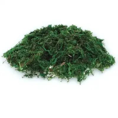 1Pack Natural-Looking Fake Moss Decor for Plant Pots Terrariums Bonsai Handicrafts Gardening Centerpieces Indoor Outdoor Micro
