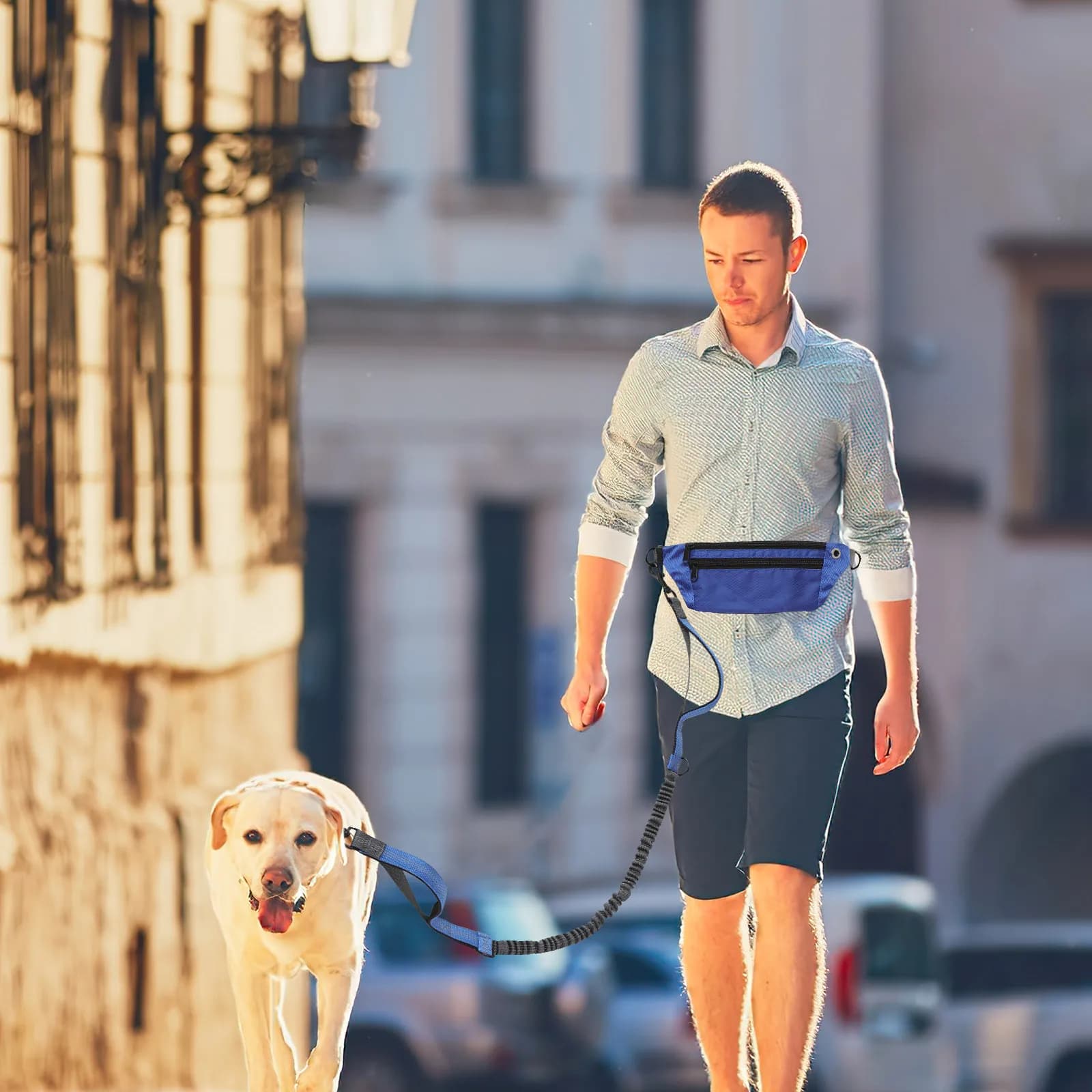 Set Guinzaglio Ergonomico a Mani Libere per Cani con Marsupio Imbottito, Guinzaglio da Corsa per Cani Attivi, Attrezzatura per Passeggiate, Addestramento e Sport all'Aperto