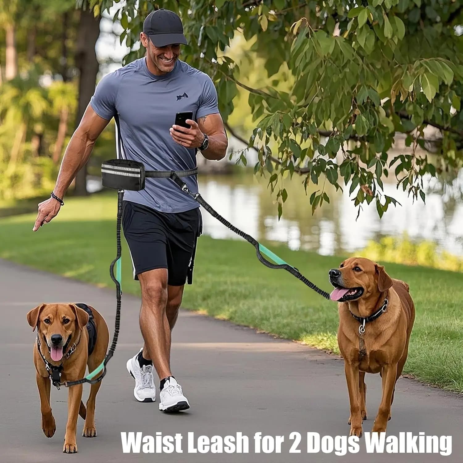 Hand-free dog hook with double elastic for 2 dogs, strap with adjustable belt, leash with reflective seams for the ride