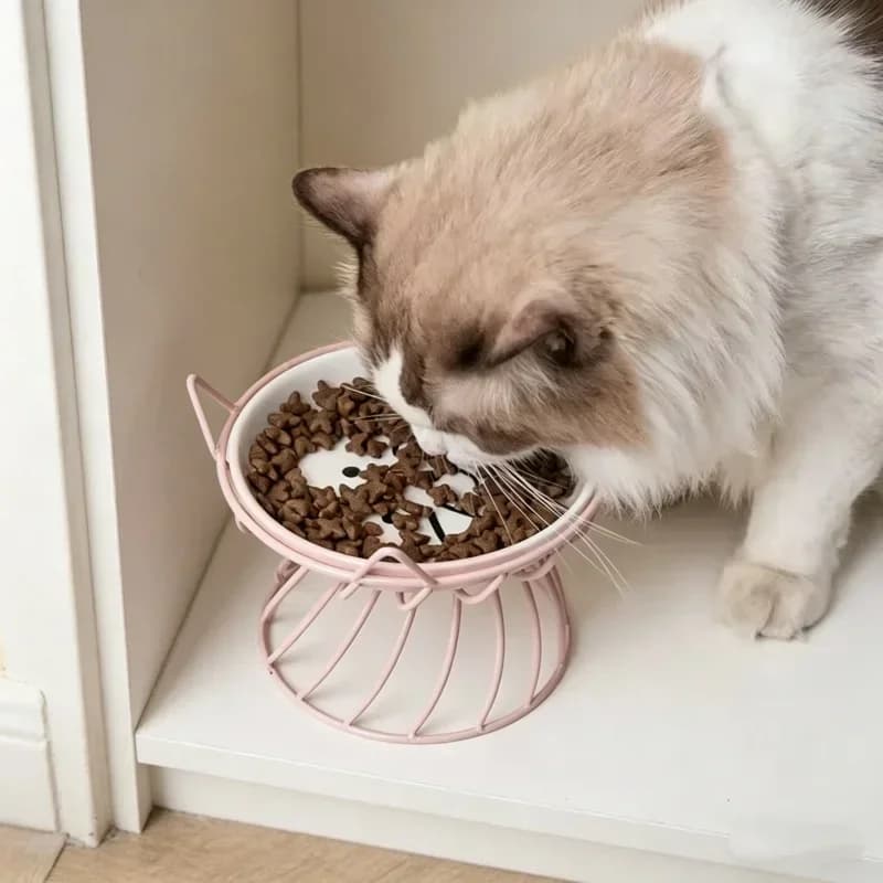 High Foot Raised Ceramic Pet Bowl Stand Feeding Bowl For Cats Dogs Food Drinking Bowl Indoor Outdoor Daily Use Pet Supplies