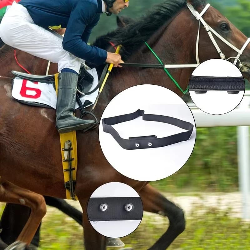 Horse running heart rate belt, horse racing sensor, accessories heart rate use