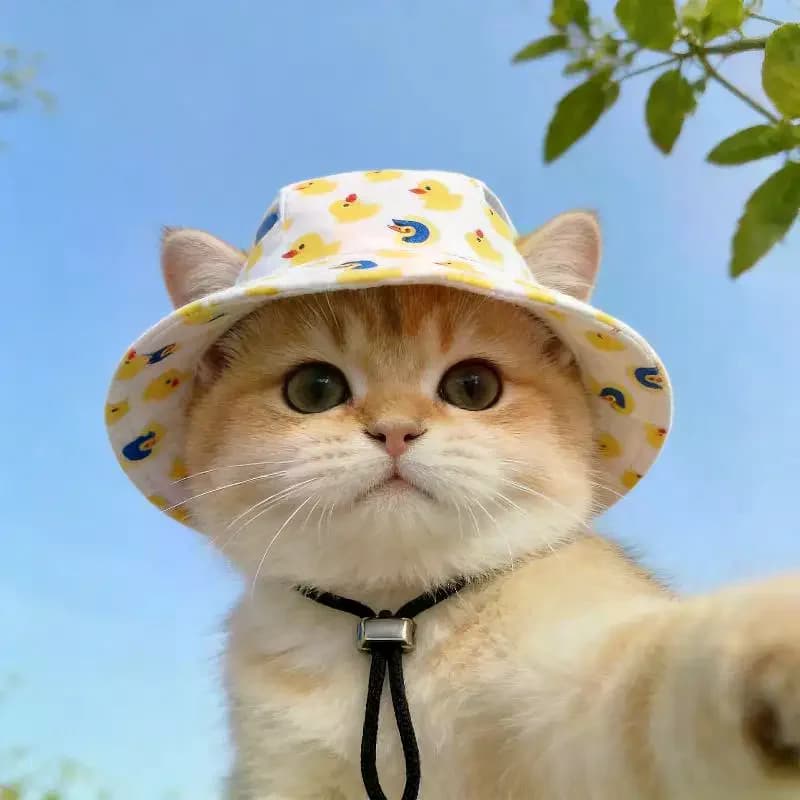 Non-toxic Pet Cowboy Hat with Ear Holes Comfortable Headwear for Small Dogs Cats Holiday Dress Up Accessory