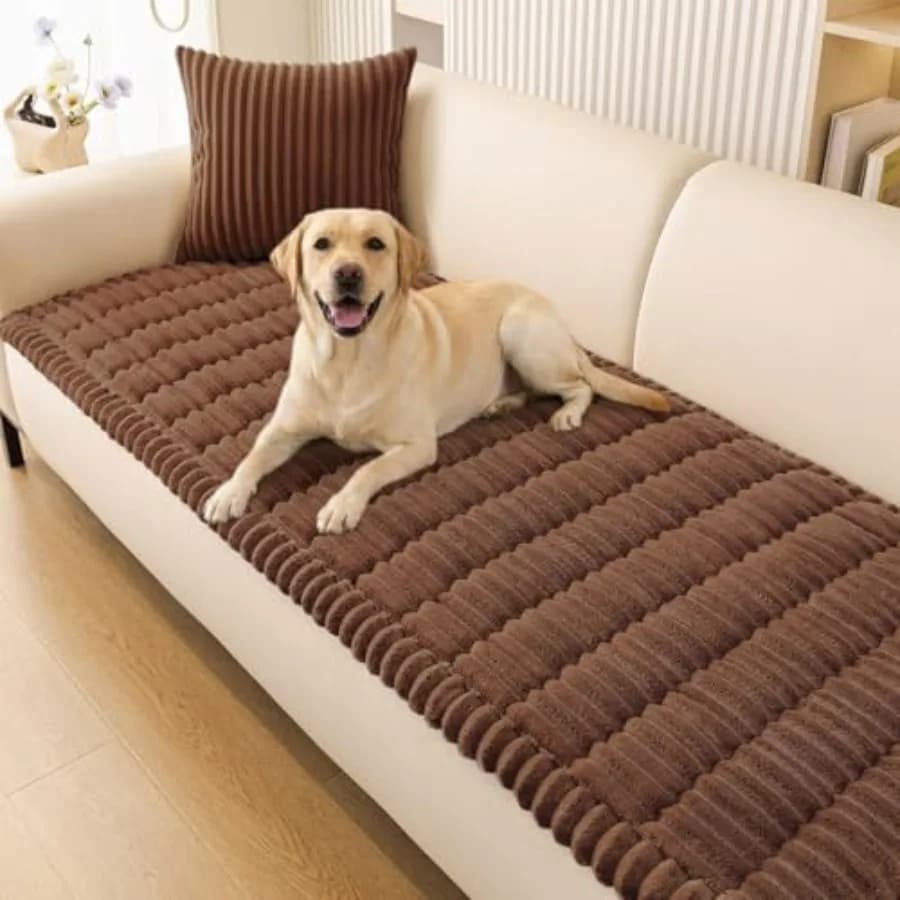 Soft and Peloso Anti-slip Lavabile Cover for 3 Seat Sofas, Suitable for Domestic Animals, Soft Protective Cover for Dogs and Cats