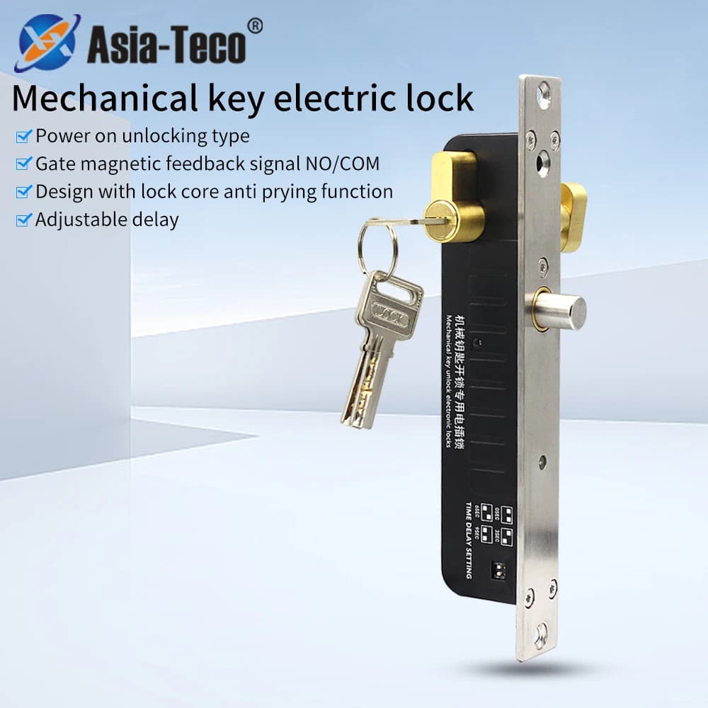 Fail Secure 12V/24V Elettrico Drop Bolt Lock Chiave Manuale Sblocco Cilindro Normalmente Aperto Catenaccio Elettronico Per Il Controllo di Accesso Della Porta