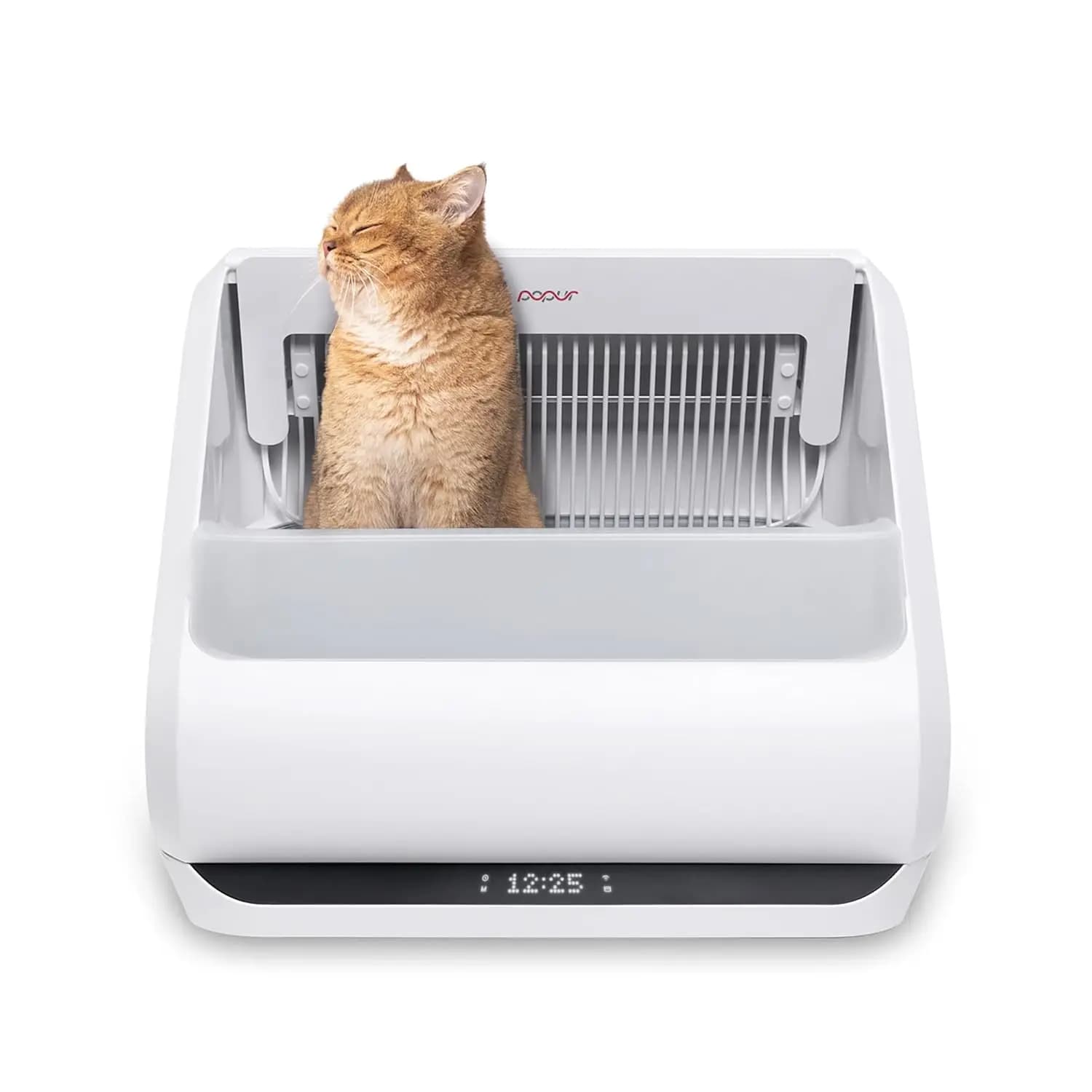 (Versione Aggiornata) Lettiera per Gatti Autopulente X5 - Sistema Unico con Parte Superiore Aperta - Robot Automatico per Pulizia Lettiera, Personalizzabile