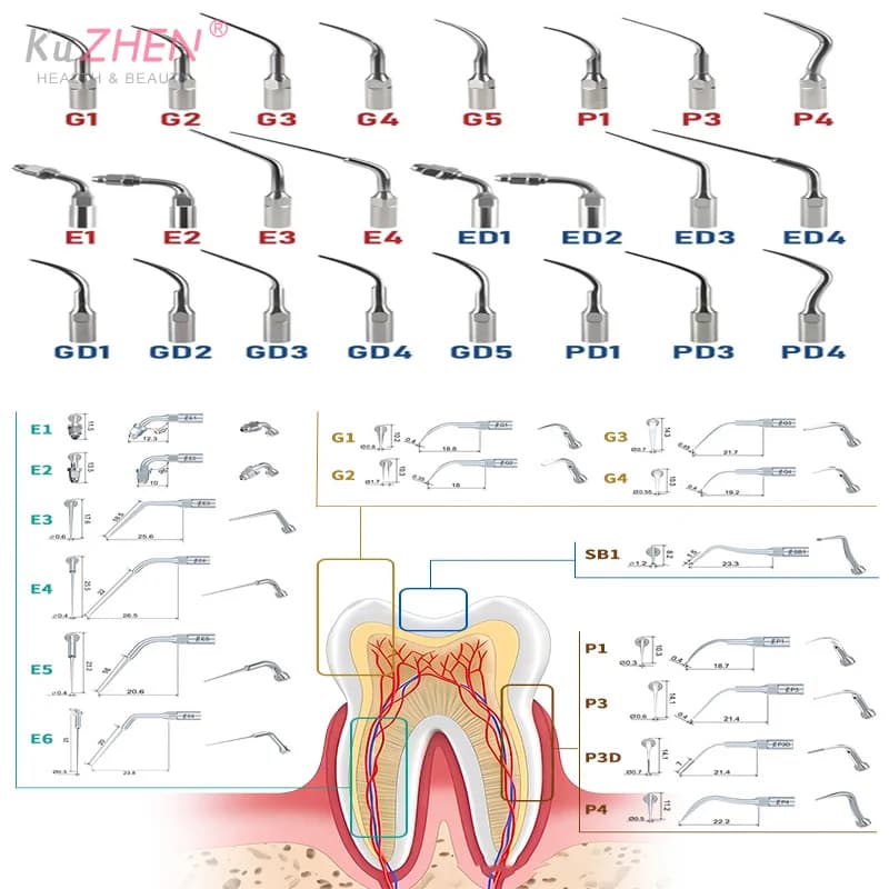 1Pc Dentale Ad Ultrasuoni Perio Scaler Punta Strumenti Dentista Strumenti Dentista Pulizia Dei Denti Canalare Endodonzia Odontoiatria Medica