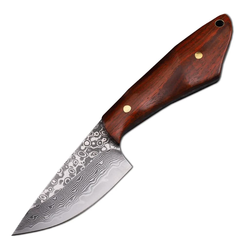 VG10 coltello da caccia in acciaio di damasco sopravvivenza manico in legno di sandalo lama fissa coltello da campeggio frutta da cucina tasca esterna strumento EDC