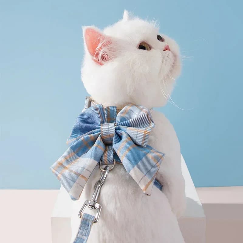 Collare per cani e gatti, simpatico imbracatura per animali domestici con cinturino per il seno, corda di trazione, vestiti per gatti, imbracatura, gilet, principessa, cucciolo di gattino, accessori