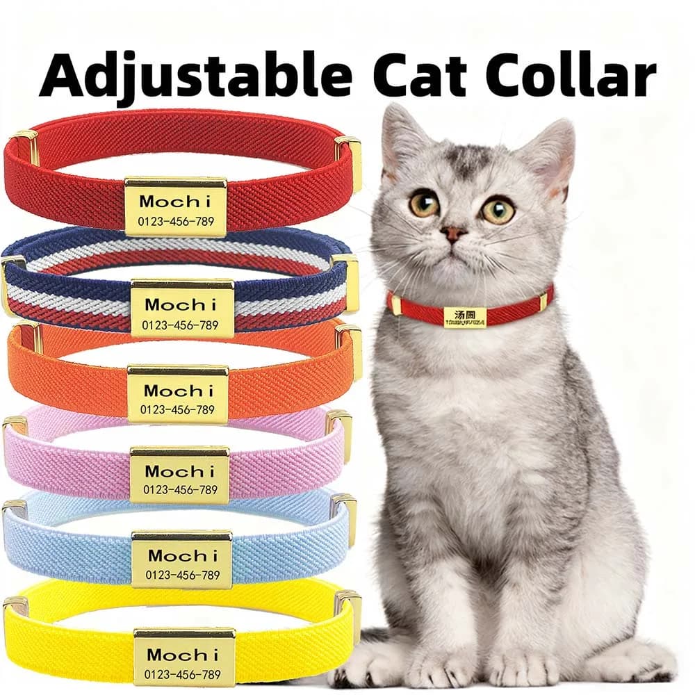 Fashionable customizable cat collar with engraved name Adjustable kitten necklace for small dogs ID for scratch resistant animals