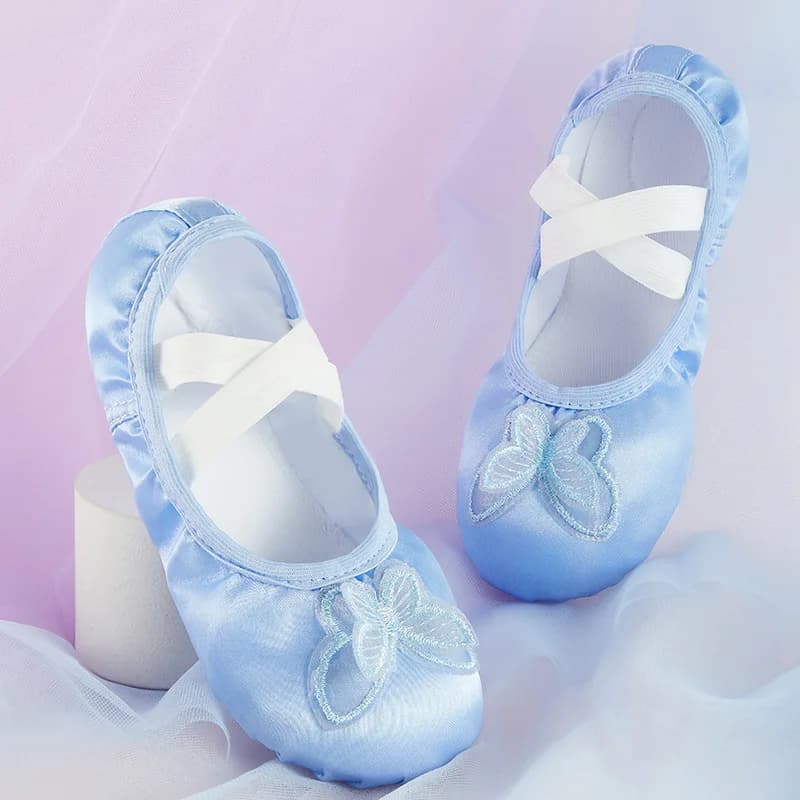 3D Embroidered Butterfly Ballet Shoes Satin Wider Elastic Straps Genuine Leather Split Sole Dance Slippers for Class Recital