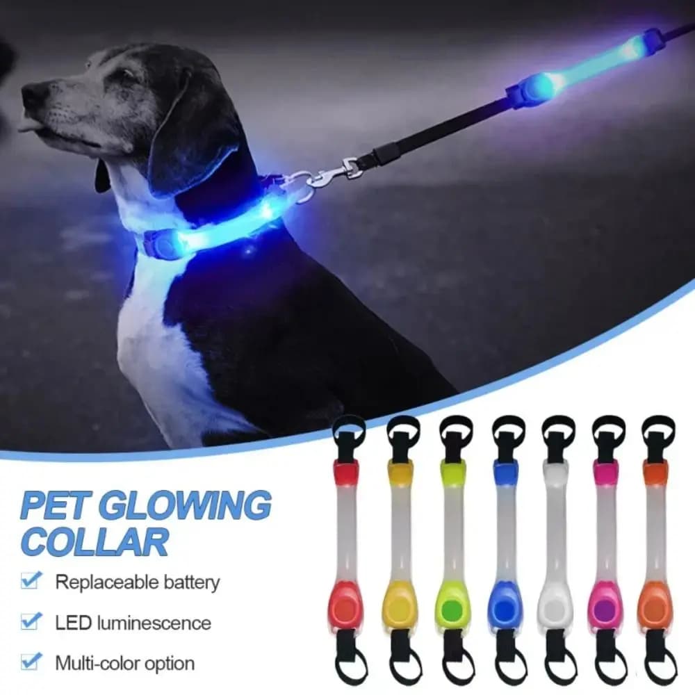Waterproof Dog Anti-Lost Safety Glowing Collar Multi-Color Outdoor-Ready Warning Flash Light Leash Night Visibility