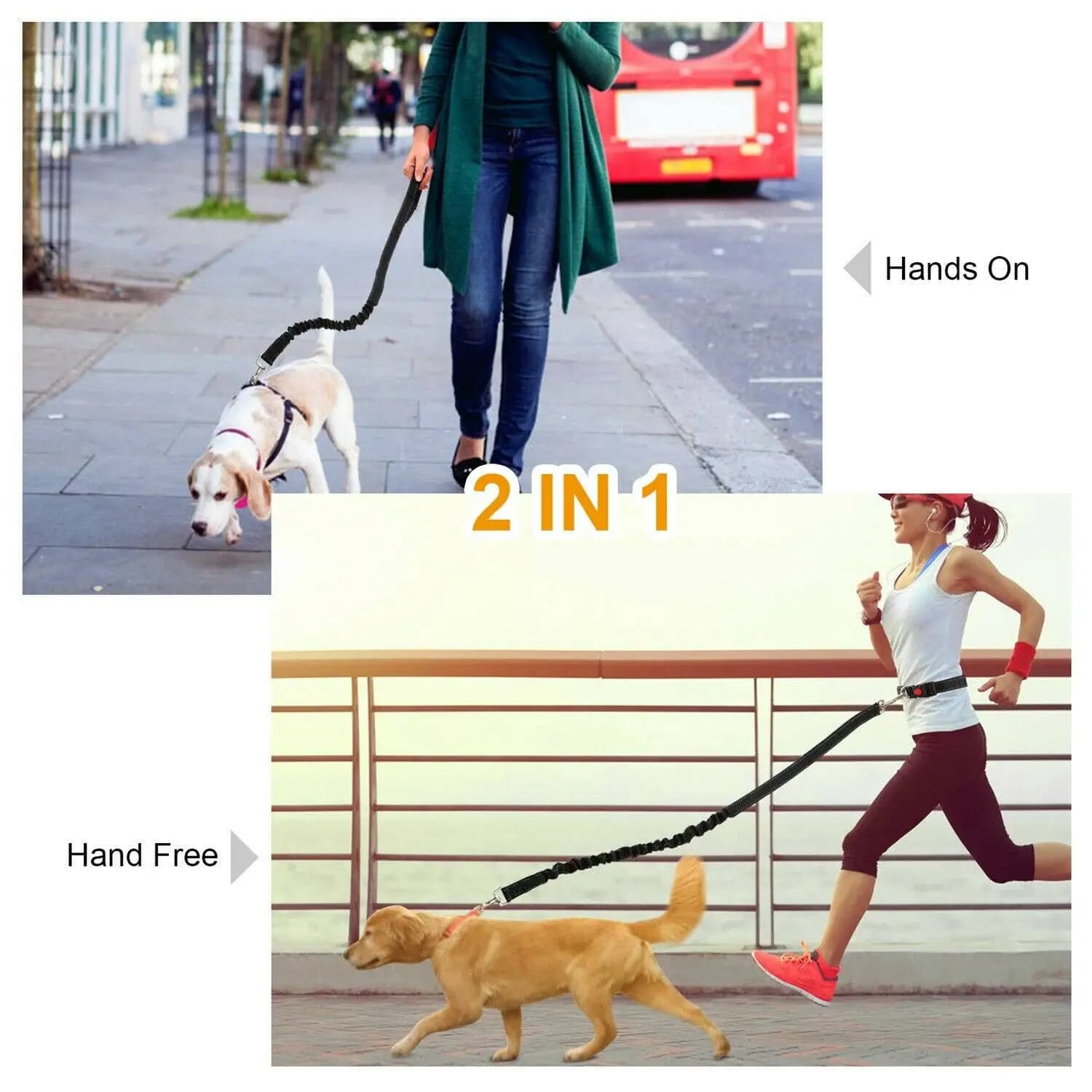 Guinzaglio per Cani Regolabile a Mani Libere per Corsa, Jogging, Escursionismo, Passeggiate, Comodo, con Sgancio Rapido in Acciaio Inossidabile