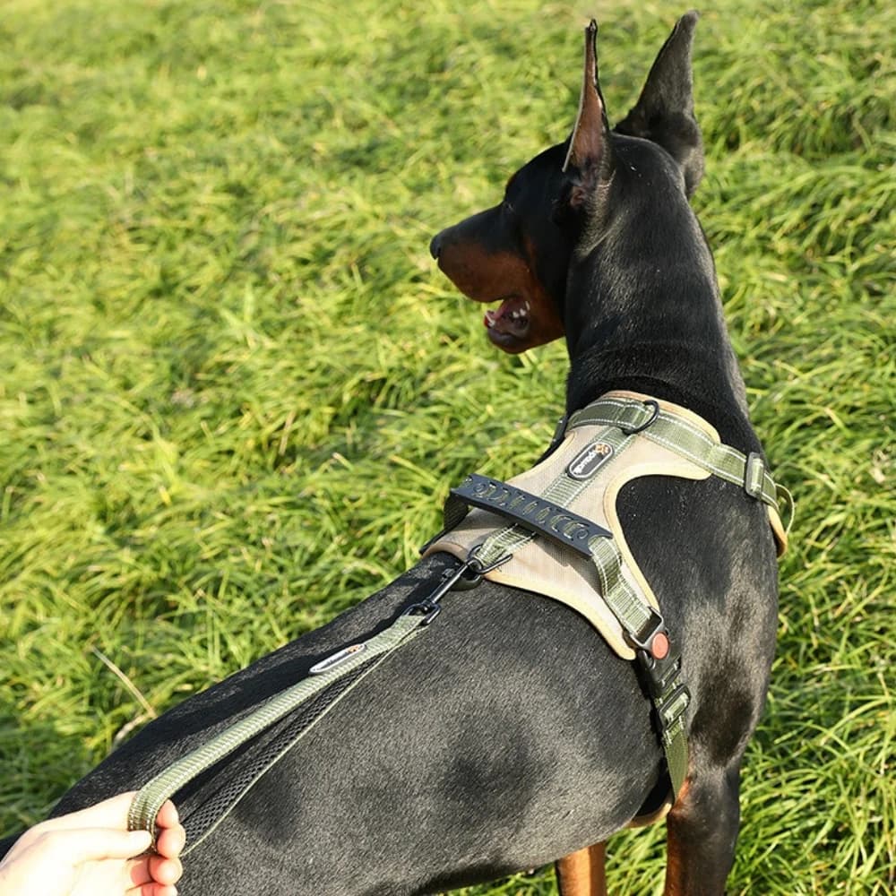 Nuova Imbracatura per Cani Antiscivolo Riflettente Antiesplosione con Guinzaglio Stile Gilet - Accessori per Cani