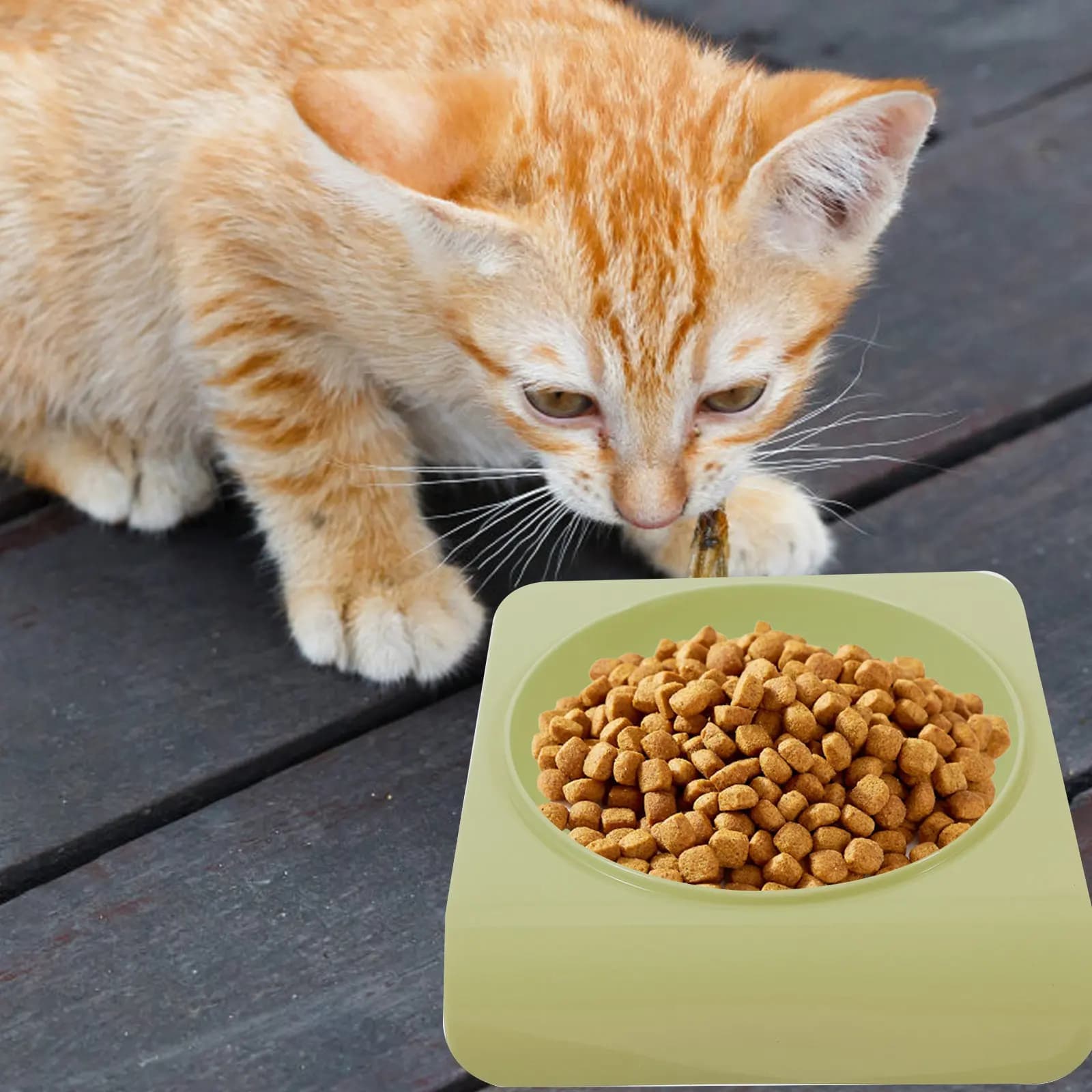 Ciotola per Cibo per Animali Domestici, Leggera in Plastica, per Cani e Gatti, Rotonda, Materiale per Alimenti, Base Stabile Antiscivolo